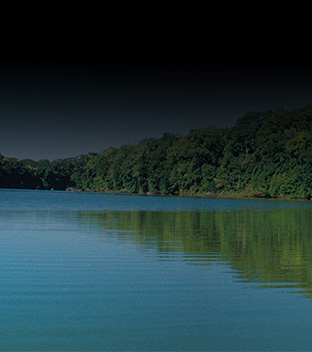 background-banner-component